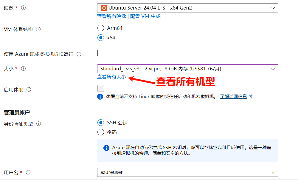虚拟机大小选择界面
