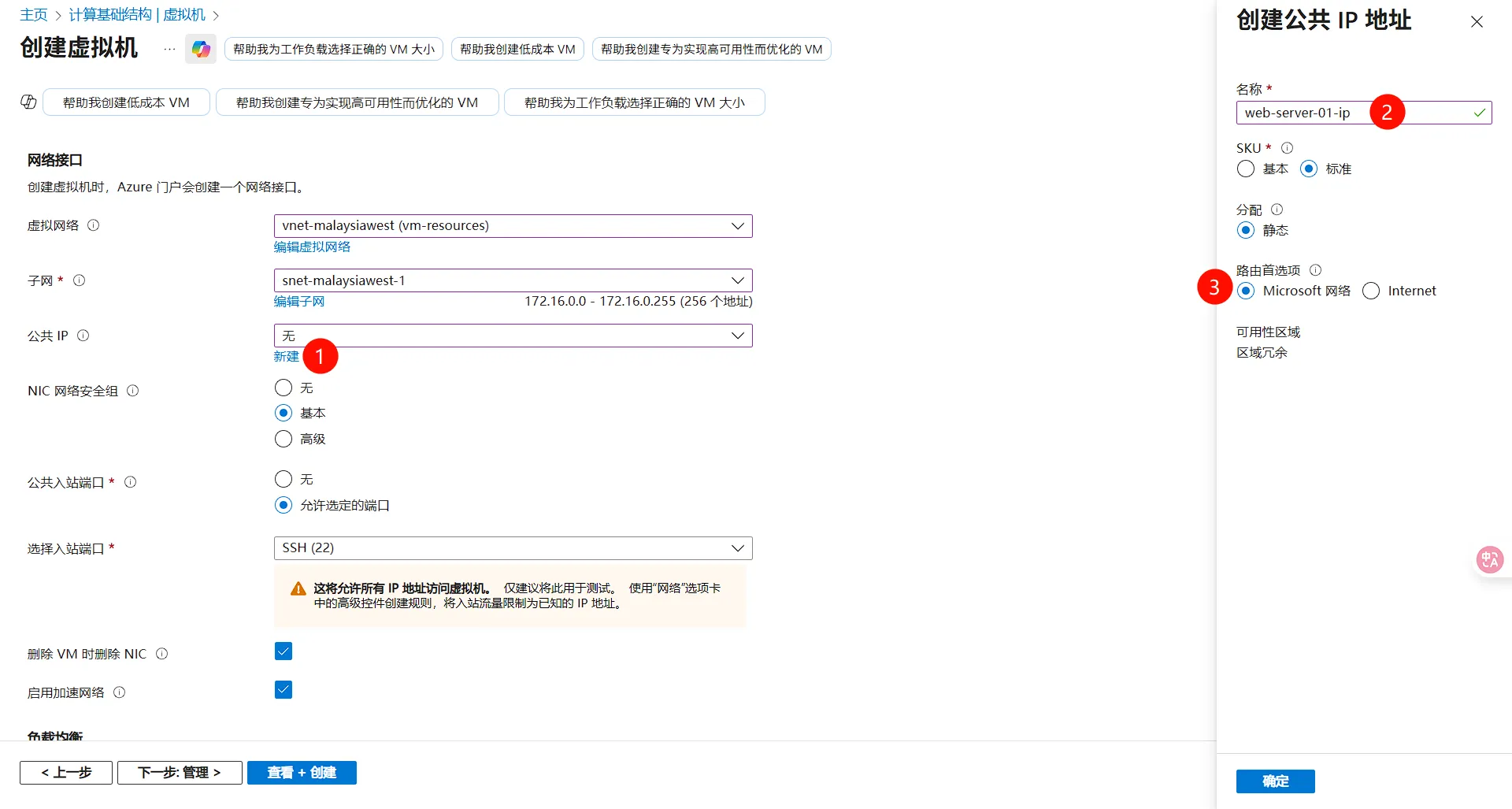 网络和公共 IP 配置界面