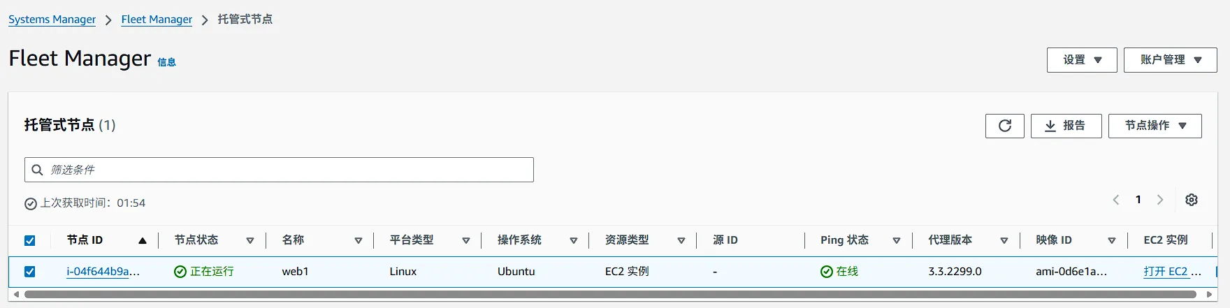 Fleet Manager 实例状态截图