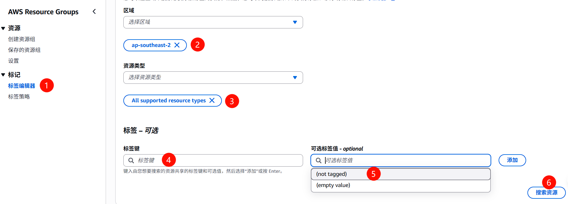 Tag Editor 资源搜索页面,显示区域和资源类型选择器
