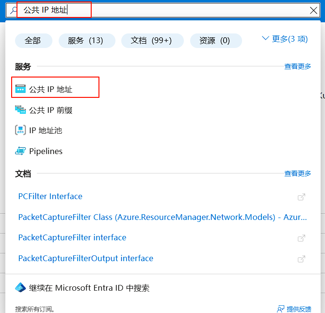 公共 IP 地址服务入口
